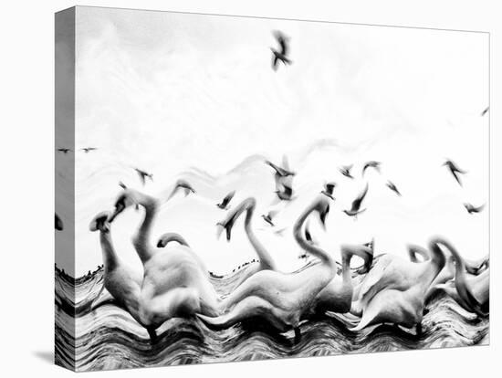 Swans waves-Silvia Dinca-Premier Image Canvas