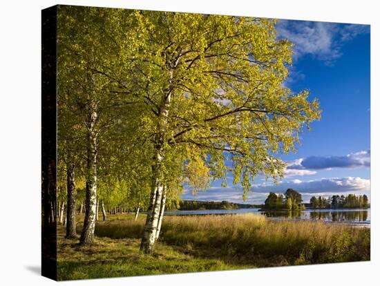 Sweden, Dalarna, Autumn at Orsa Lake, Birch, Tree Islands-K. Schlierbach-Premier Image Canvas