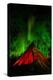 Sweden, Norrbotten, Abisko. Aurora Borealis (Northern Lights) over a Tenttipi.-Fredrik Norrsell-Premier Image Canvas