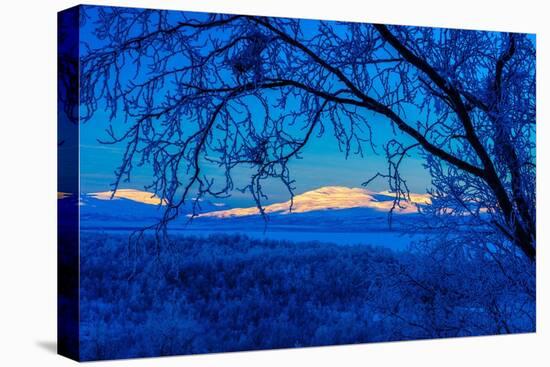 Sweden, Norrbotten, Abisko. Winter light over frosted birch forest and Torne Lake.-Fredrik Norrsell-Premier Image Canvas