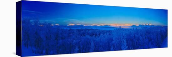 Sweden, Norrbotten, Abisko. Winter light over frosted birch forest and Torne Lake.-Fredrik Norrsell-Premier Image Canvas