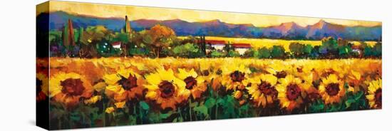 Sweeping Fields of Sunflowers-Nancy O'toole-Stretched Canvas