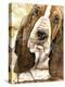 Sweet Basset Hound-Jin Jing-Stretched Canvas