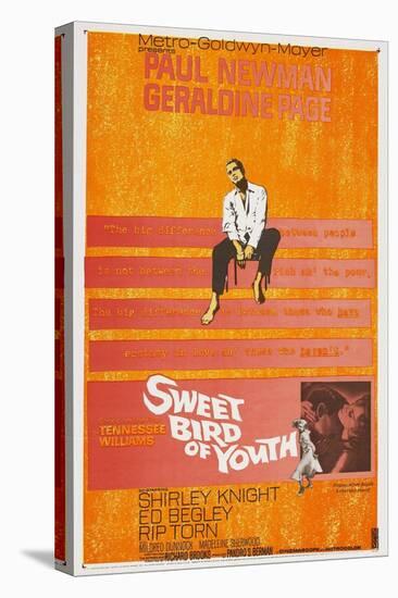 Sweet Bird of Youth, 1962, Directed by Richard Brooks-null-Premier Image Canvas