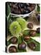 Sweet Chestnuts-Nico Tondini-Premier Image Canvas