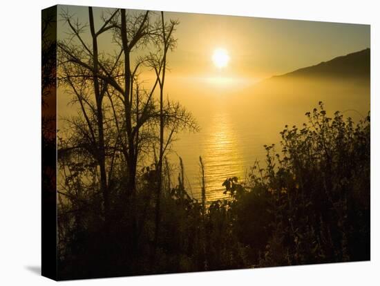 Sweet Fennel, Foeniculum Vulgare, and Sunset over Big Sur Coastline, California, Usa-Paul Colangelo-Premier Image Canvas