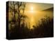 Sweet Fennel, Foeniculum Vulgare, and Sunset over Big Sur Coastline, California, Usa-Paul Colangelo-Premier Image Canvas