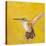 Sweet Hummingbird II-Mehmet Altug-Stretched Canvas