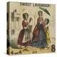 Sweet Lavender!, London, C1840, Cries of London-TH Jones-Premier Image Canvas