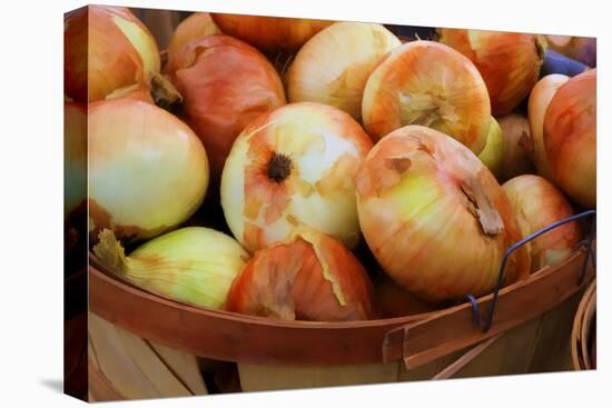 Sweet Onions at a Farmer's in Savannah, Georgia, USA-Joanne Wells-Premier Image Canvas