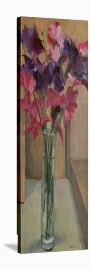 Sweet Peas, 2008-Pat Maclaurin-Premier Image Canvas