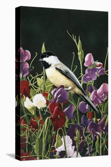 Sweet Peas and Chickadee-William Vanderdasson-Premier Image Canvas