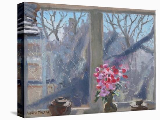 Sweet Peas in the Artist's Studio, 2017-Andrew Macara-Premier Image Canvas