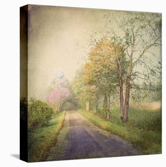 Sweet Road-Dawne Polis-Stretched Canvas