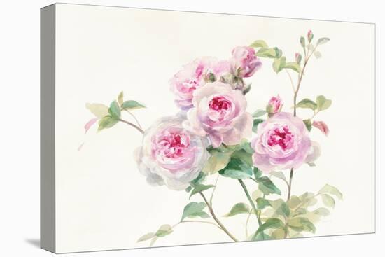 Sweet Roses on White Green-Danhui Nai-Stretched Canvas