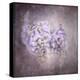 Sweet Wisteria-Jai Johnson-Premier Image Canvas