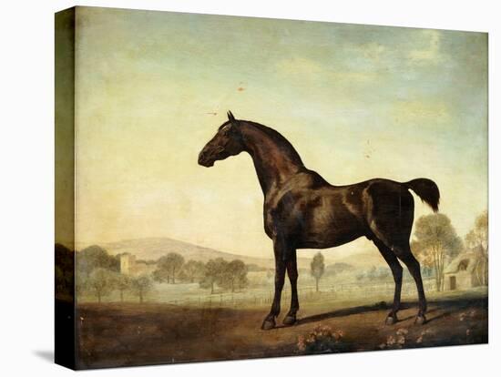 Sweetwilliam', a Bay Racehorse, in a Paddock, 1779-George Stubbs-Premier Image Canvas