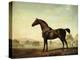 Sweetwilliam', a Bay Racehorse, in a Paddock, 1779-George Stubbs-Premier Image Canvas