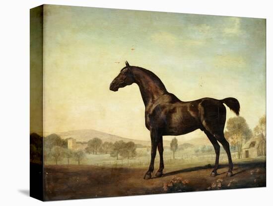 Sweetwilliam', a Bay Racehorse, in a Paddock-George Stubbs-Premier Image Canvas