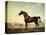 Sweetwilliam', a Bay Racehorse, in a Paddock-George Stubbs-Premier Image Canvas