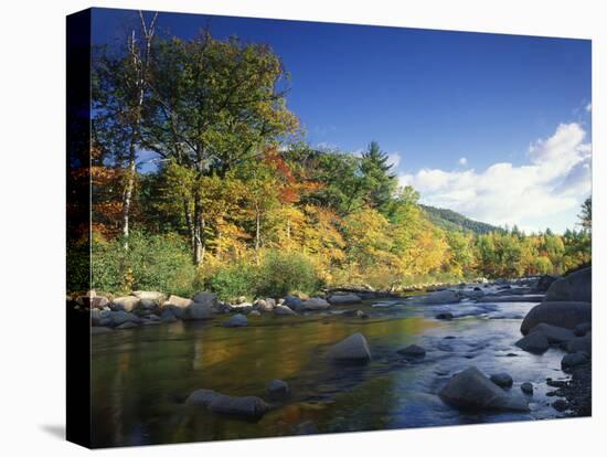 Swift River in Autumn, White Mountains National Forest, New Hampshire, USA-Adam Jones-Premier Image Canvas