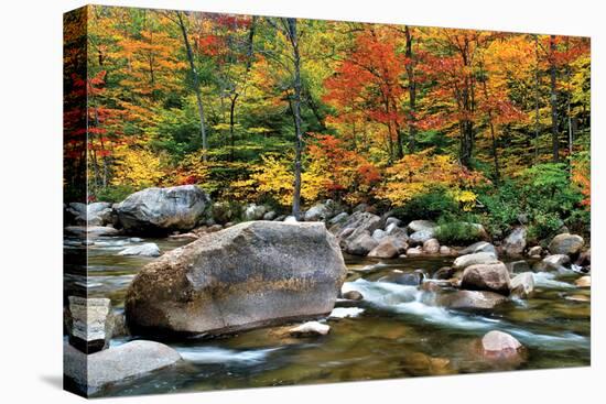 Swift River Pass Scenic-Larry Malvin-Premier Image Canvas