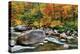 Swift River Pass Scenic-Larry Malvin-Premier Image Canvas