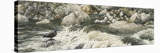 Swift Water-Jeff Tift-Premier Image Canvas