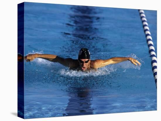 Swimmer Competing in a Butterfly Race-null-Premier Image Canvas