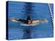 Swimmer Competing in a Butterfly Race-null-Premier Image Canvas