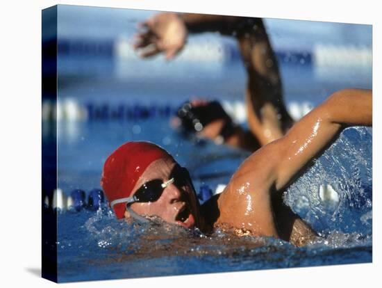 Swimmers Competing in a Race-null-Premier Image Canvas