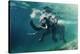 Swimming Elephant Underwater. African Elephant in Ocean with Mirrors and Ripples at Water Surface.-Willyam Bradberry-Premier Image Canvas