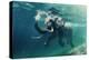 Swimming Elephant Underwater. African Elephant in Ocean with Mirrors and Ripples at Water Surface.-Willyam Bradberry-Premier Image Canvas