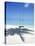 Swing on the Beach Above Palm Tree Shadow-null-Premier Image Canvas