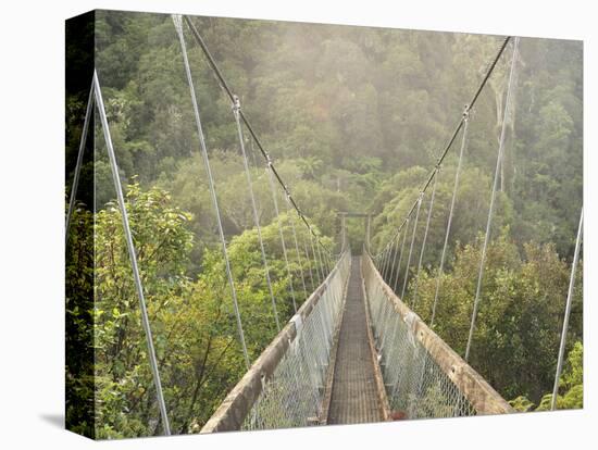 Swingbridge, Motu Falls, Motu, Gisborne, North Island, New Zealand, Pacific-Jochen Schlenker-Premier Image Canvas