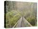 Swingbridge, Motu Falls, Motu, Gisborne, North Island, New Zealand, Pacific-Jochen Schlenker-Premier Image Canvas