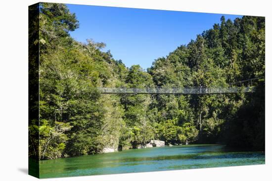 Swinging Bridge, Abel Tasman National Park, South Island, New Zealand, Pacific-Michael-Premier Image Canvas