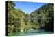 Swinging Bridge, Abel Tasman National Park, South Island, New Zealand, Pacific-Michael-Premier Image Canvas