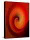 Swirling Red-Ruth Palmer-Stretched Canvas