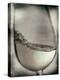 Swirling White Wine-Steve Lupton-Premier Image Canvas