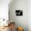 Swirls Reverse I-Monika Burkhart-Premier Image Canvas displayed on a wall