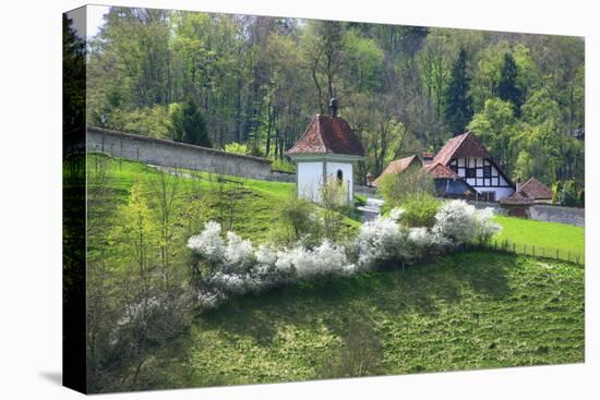 Switzerland, Fribourg on the Sarine River-Uwe Steffens-Premier Image Canvas