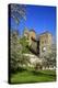 Switzerland, Spring in Fribourg on the Sarine River, Cats Tower and Berne Gate-Uwe Steffens-Premier Image Canvas