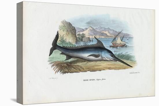Swordfish, 1863-79-Raimundo Petraroja-Premier Image Canvas