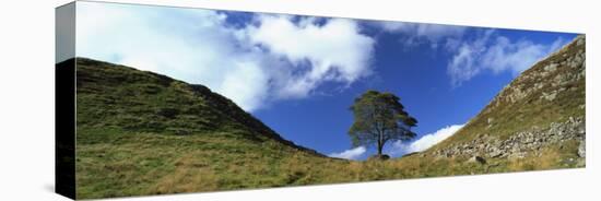 Sycamore Gap, Hadrian's Wall, Near Hexham, Northumberland, England, United Kingdom, Europe-Lee Frost-Premier Image Canvas