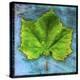 Sycamore-John W Golden-Premier Image Canvas