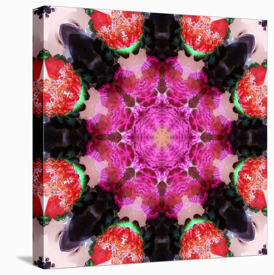 Symmetric Energetic Floral Montage of Flowers-Alaya Gadeh-Premier Image Canvas