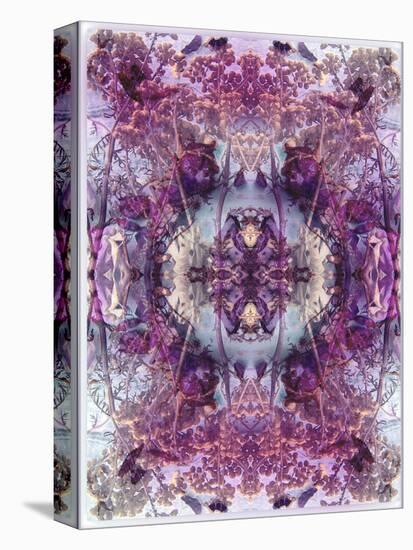 Symmetric Floral Montage from Flowers-Alaya Gadeh-Premier Image Canvas