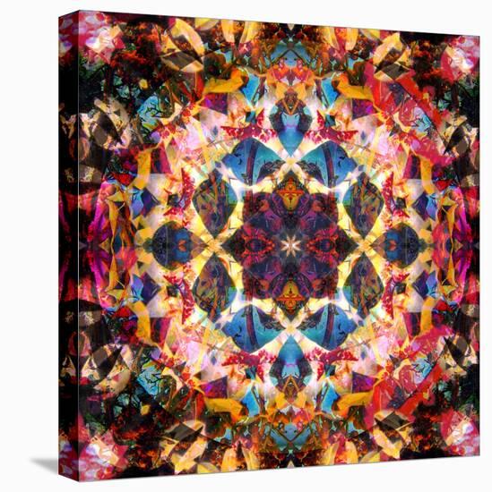 Symmetric Layer Work from Flower Photographs-Alaya Gadeh-Premier Image Canvas