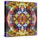 Symmetric Layer Work from Flower Photographs-Alaya Gadeh-Premier Image Canvas
